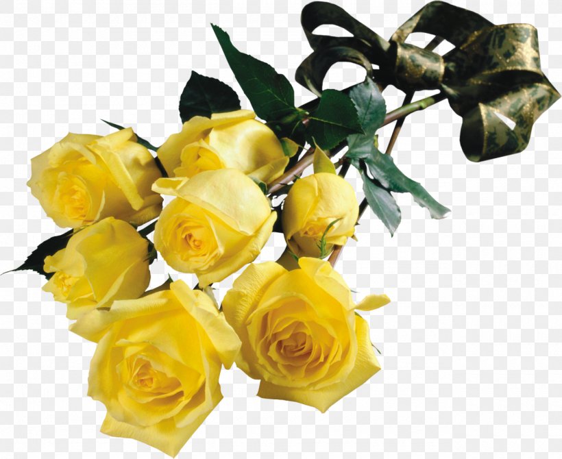 Garden Roses Flower Yellow Houseplant, PNG, 1280x1047px, Garden Roses, Artificial Flower, Color, Computer, Cut Flowers Download Free