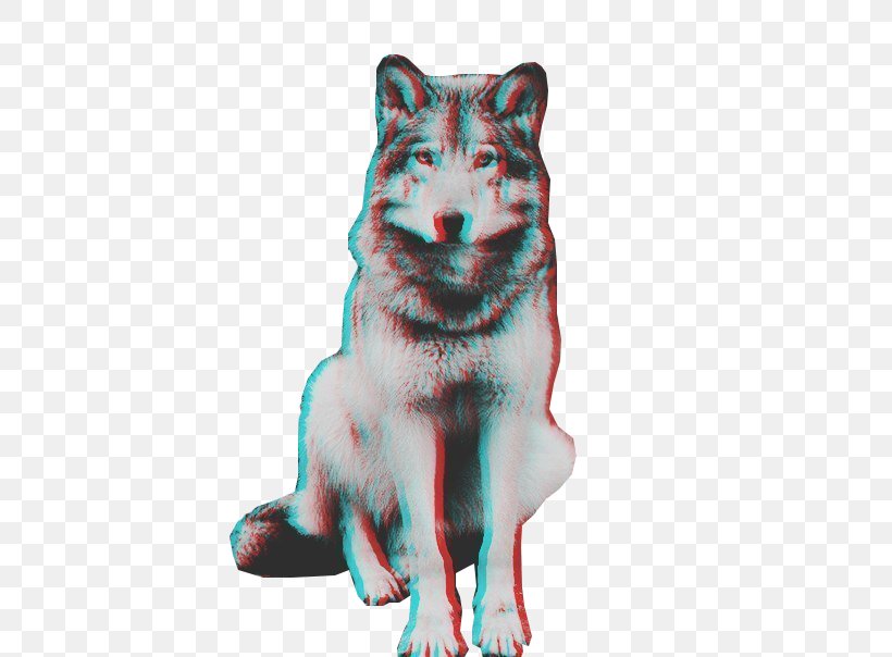 Dog Sticker Gray Wolf, PNG, 468x604px, 2016, Dog, Adobe Flash Player, Animal, Carnivoran Download Free