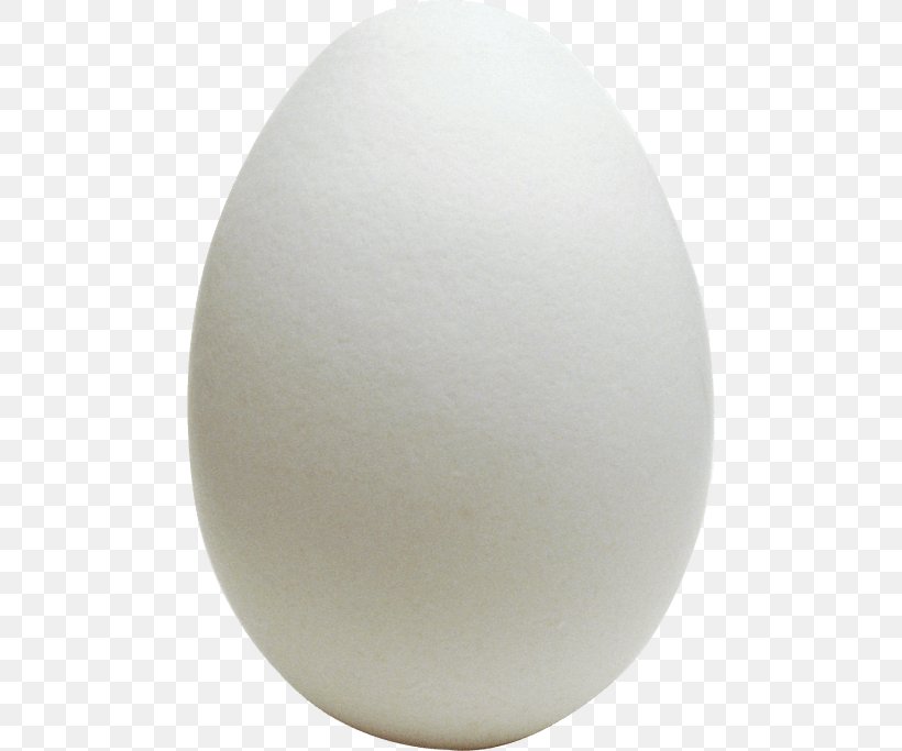 Easter Egg Background, PNG, 480x683px, Egg, Ball, Ceiling, Easter Egg, Egg White Download Free