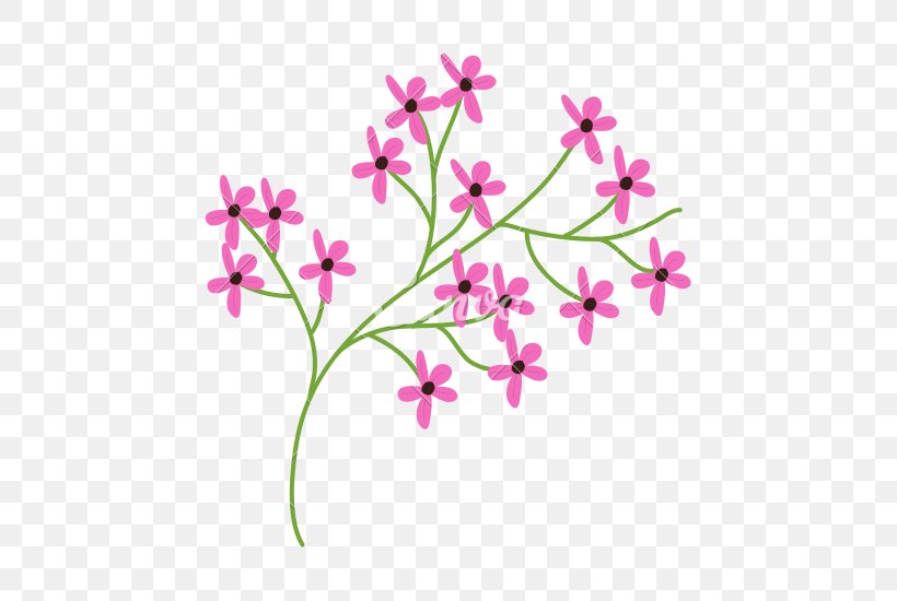 Floral Design, PNG, 550x550px, Drawing, Blossom, Branch, Catchfly, Centaurium Download Free