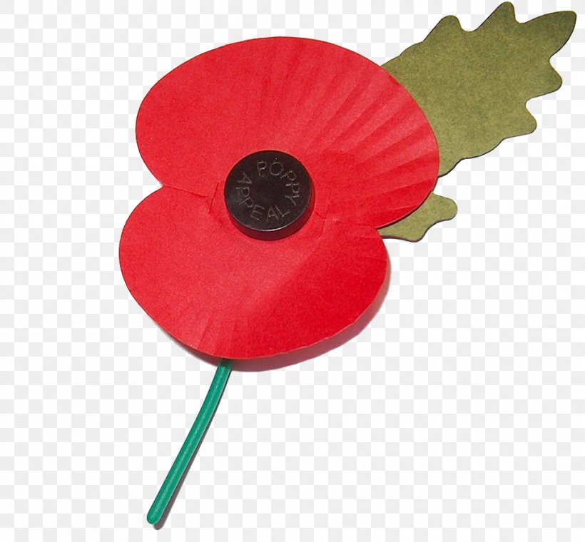 In Flanders Fields First World War Remembrance Poppy Armistice Day, PNG, 960x890px, In Flanders Fields, Armistice Day, Common Poppy, Commonwealth Of Nations, Coquelicot Download Free