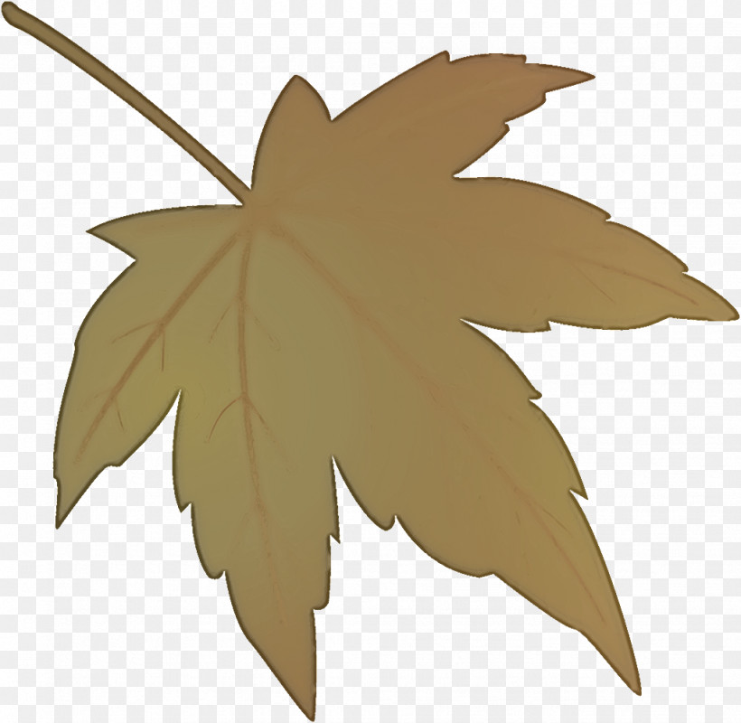 Maple Leaf Fallen Leaf Dead Leaf, PNG, 1028x1004px, Maple Leaf, Autumn Leaf, Black Maple, Dead Leaf, Fallen Leaf Download Free