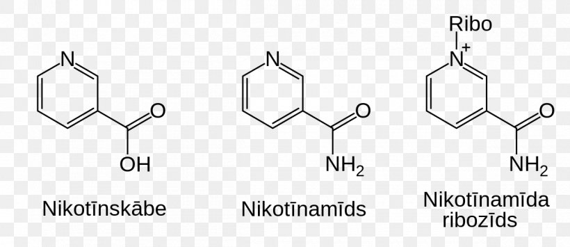 Nicotinamide Riboside Vs Nicotinamide Adenine Dinucleotide Nicotinamide Adenine Dinucleotide Nicotinamide Riboside, PNG