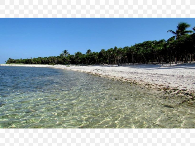 Sea Caribbean Coast Inlet Ocean, PNG, 979x734px, Sea, Bay, Beach, Caribbean, Cay Download Free