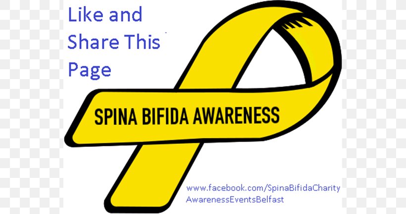 Awareness Ribbon Turner Syndrome, PNG, 770x433px, Awareness Ribbon, Area, Awareness, Brand, Breast Cancer Download Free