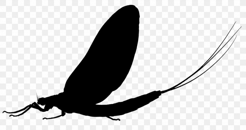 Insect Clip Art Pollinator Silhouette Pest, PNG, 1772x943px, Insect, Beak, Bird, Blackandwhite, Feather Download Free