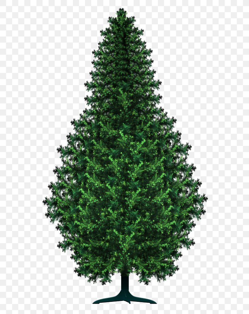 Spruce Pine Christmas Tree Art, PNG, 579x1033px, Spruce, Art, Artist, Biome, Brush Download Free