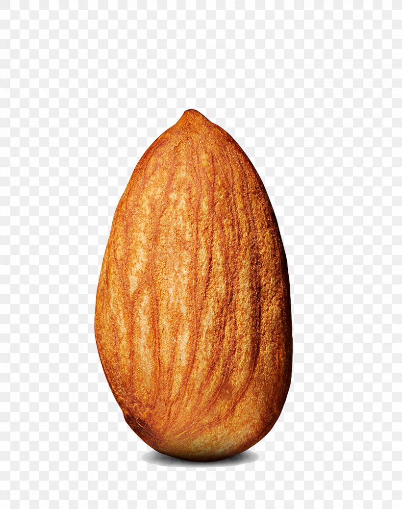 Almond Clip Art, PNG, 2778x3517px, Almond, Commodity, Food, Fruit, Ingredient Download Free