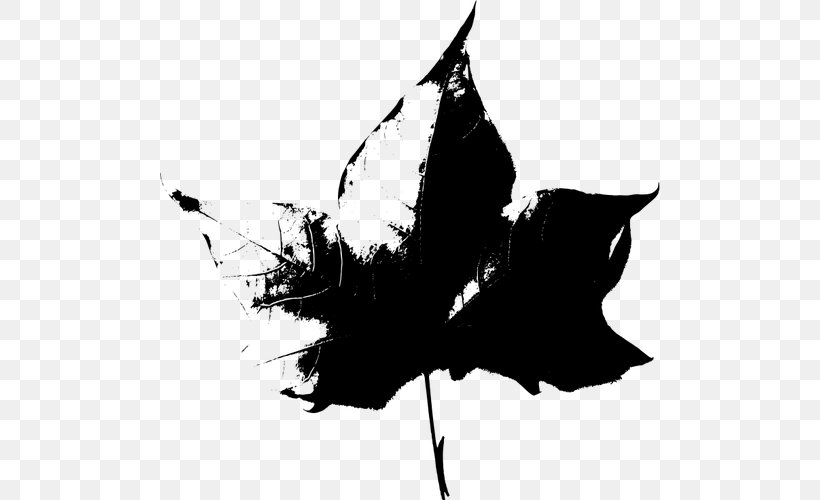 Autumn Leaf Drawing, PNG, 500x500px, Silhouette, Autumn, Black And White, Blackandwhite, Drawing Download Free