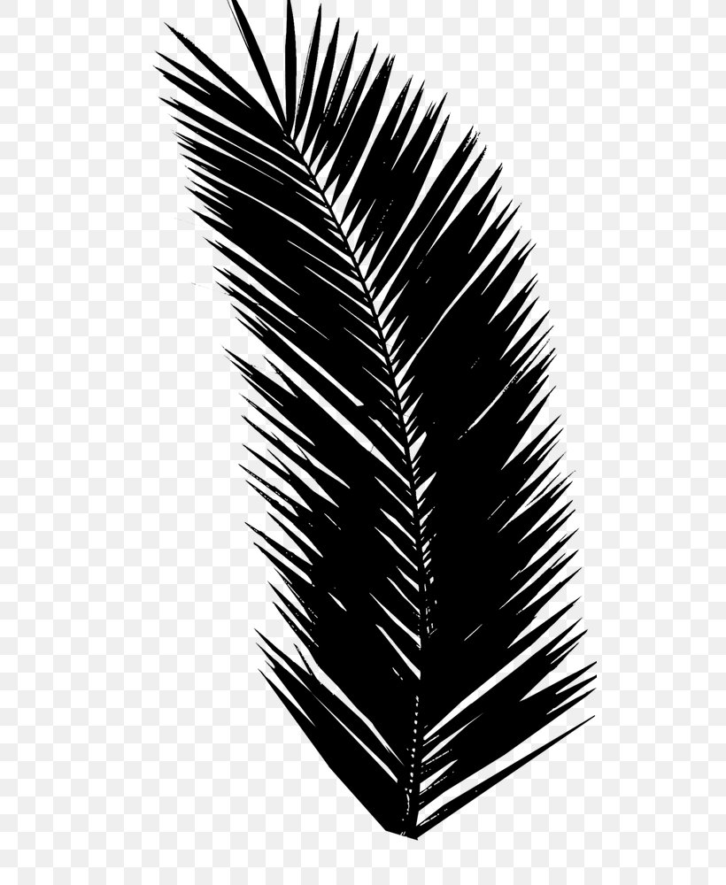Clip Art Palm Trees Image Design, PNG, 529x1000px, Palm Trees, Arecales, Asian Palmyra Palm, Blackandwhite, Borassus Download Free