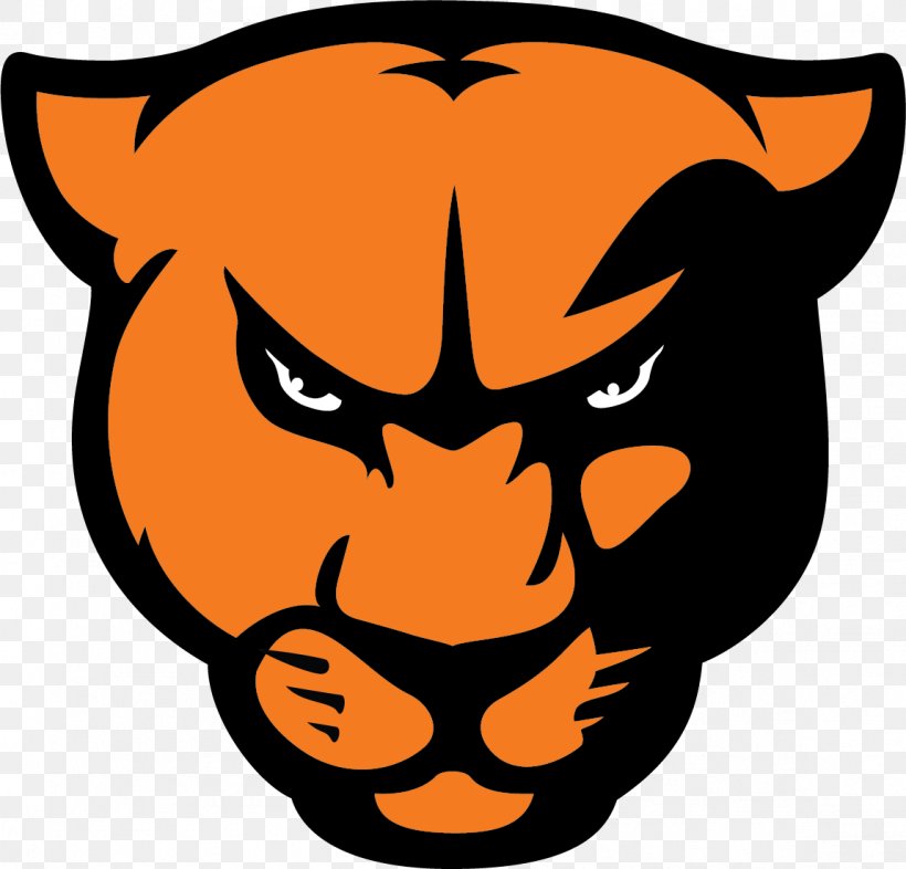 Greenville University Greenville College Panthers Football St. Louis Intercollegiate Athletic Conference Millsaps College American Football, PNG, 1149x1102px, Greenville University, American Football, Artwork, Calabaza, Carnivoran Download Free