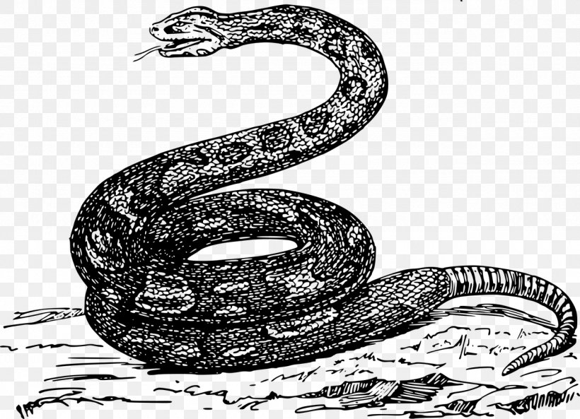 Rattlesnake Boa Constrictor Clip Art, PNG, 1280x926px, Snake, Automotive Design, Black And White, Boa Constrictor, Boas Download Free