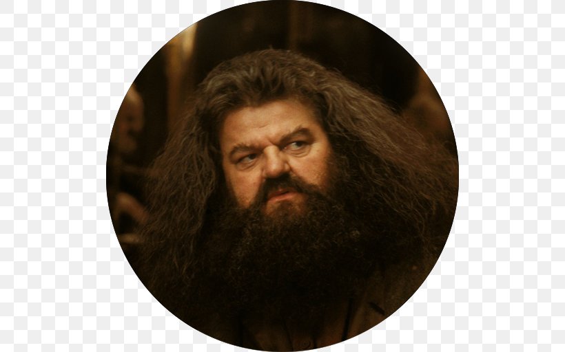 Robbie Coltrane Harry Potter And The Philosopher's Stone Rubeus Hagrid Hermione Granger, PNG, 512x512px, Robbie Coltrane, Actor, Albus Dumbledore, Beard, Elder Download Free