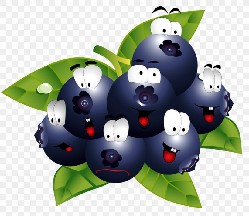 Wine Fruit Blackcurrant Frutti Di Bosco Kompot, PNG, 9449x8207px, Kompot, Auglis, Berry, Blackberry, Blackcurrant Download Free