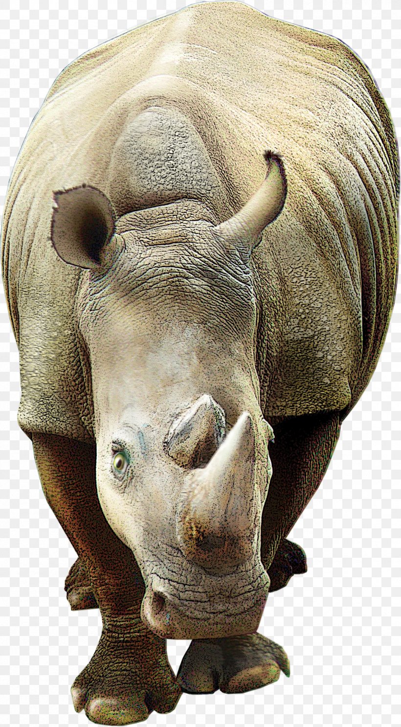 Rhinoceros 3D Poster, PNG, 1255x2275px, Rhinoceros, Animal, Cattle Like Mammal, Coreldraw, Elephant Download Free