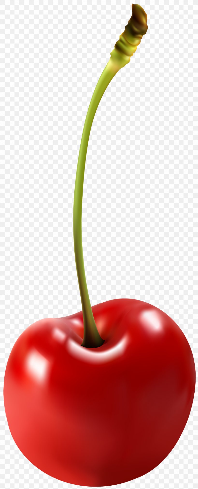 Cordial Cherry Fruit Computer File, PNG, 2432x6000px, Cherry, Bell Peppers And Chili Peppers, Buttercream, Food, Fruit Download Free