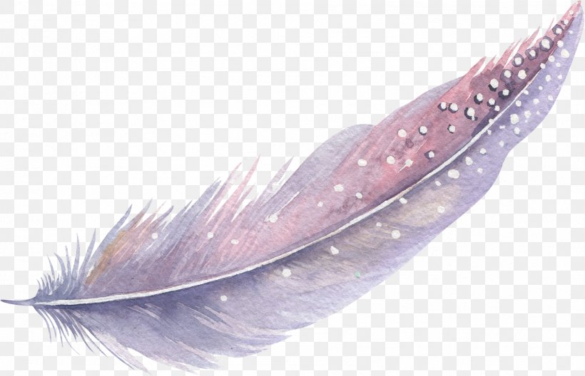 Feather Watercolor Painting, PNG, 1916x1236px, Feather, Cartoon, Creative Work, Designer, Rgb Color Model Download Free