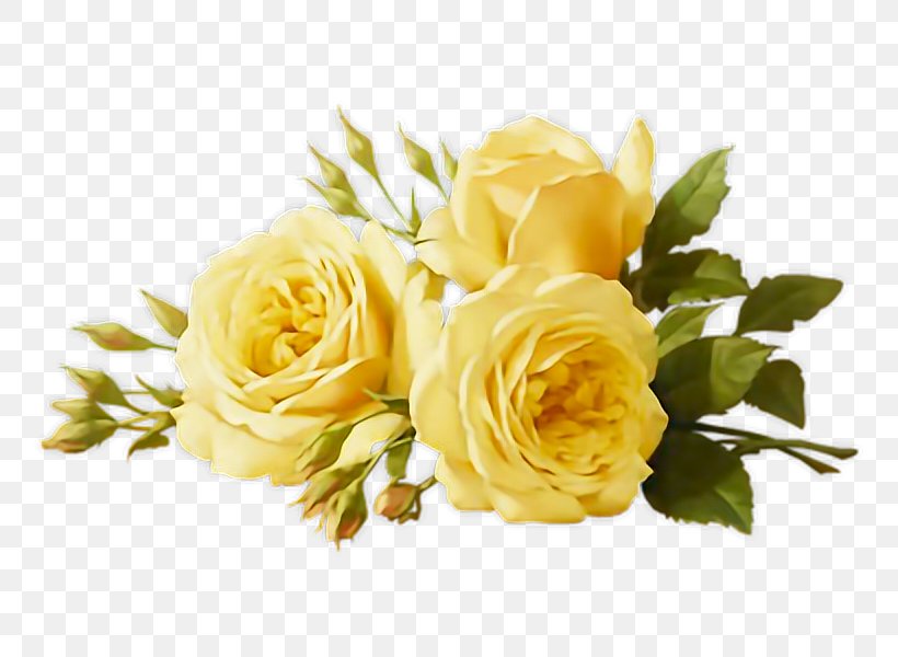 Flower Rose Transparency Floral Design, PNG, 760x600px, Flower, Austrian Briar, Bouquet, Cut Flowers, Floral Design Download Free