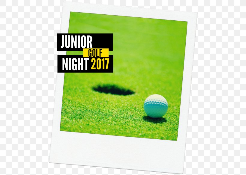 Sunnybrae Golf Club Golf Balls Golf Equipment Pro Shop, PNG, 500x584px, Sunnybrae Golf Club, Ball, Football, Golf, Golf Ball Download Free