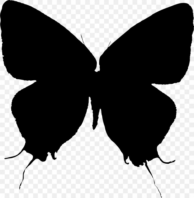 Brush-footed Butterflies Moth Clip Art Silhouette M. Butterfly, PNG, 1561x1600px, Brushfooted Butterflies, Black M, Blackandwhite, Butterfly, Insect Download Free