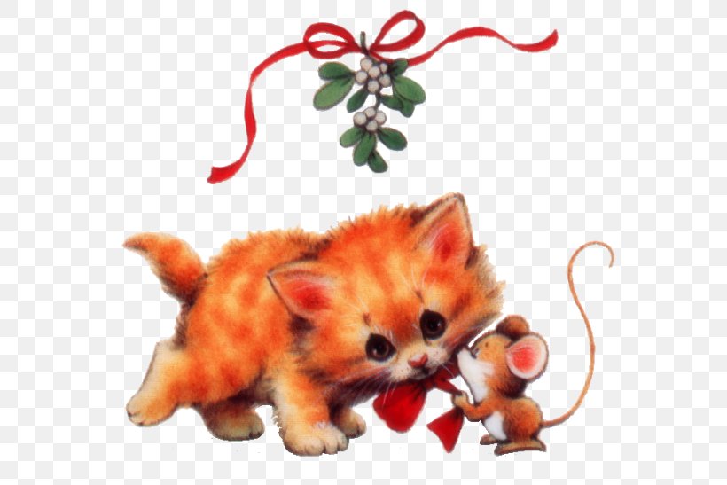 Cat Kitten Animal Red Fox, PNG, 589x547px, Cat, Animal, Carnivora, Carnivoran, Cat Like Mammal Download Free