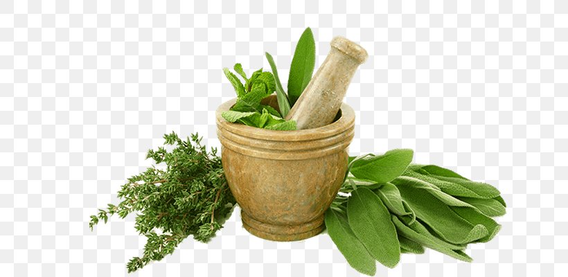 Herb Fed Poultry Eating Food Indian Cuisine, PNG, 647x400px, Herb Fed Poultry, Appetite, Common Sage, Culinary Arts, Eating Download Free