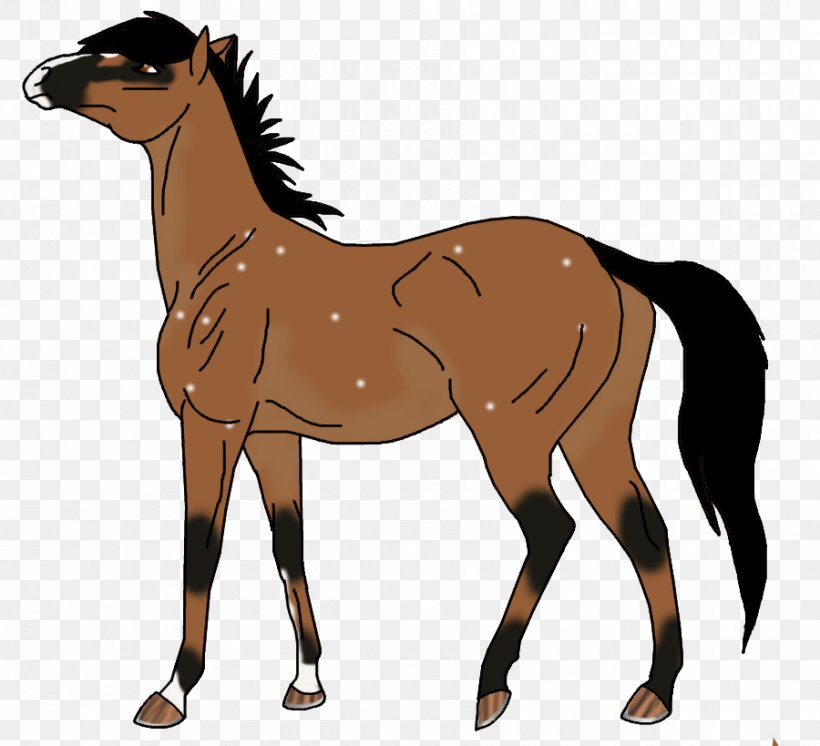 Mustang Pony Foal Mare Stallion, PNG, 900x819px, Mustang, Animal Figure, Bridle, Colt, English Riding Download Free