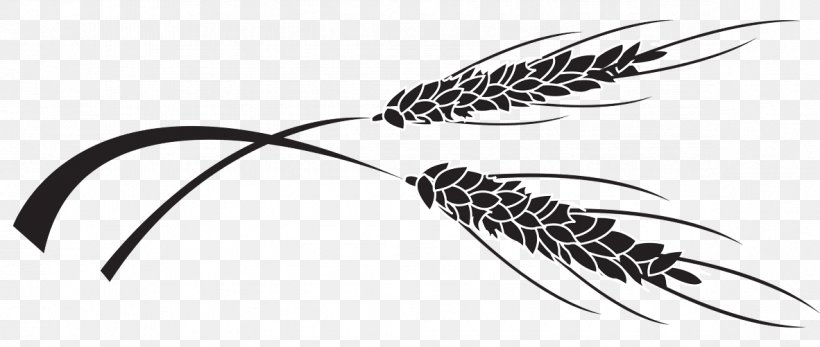 Quill Corp Grasses White, PNG, 1182x501px, Quill Corp, Beak, Black And White, Family, Feather Download Free