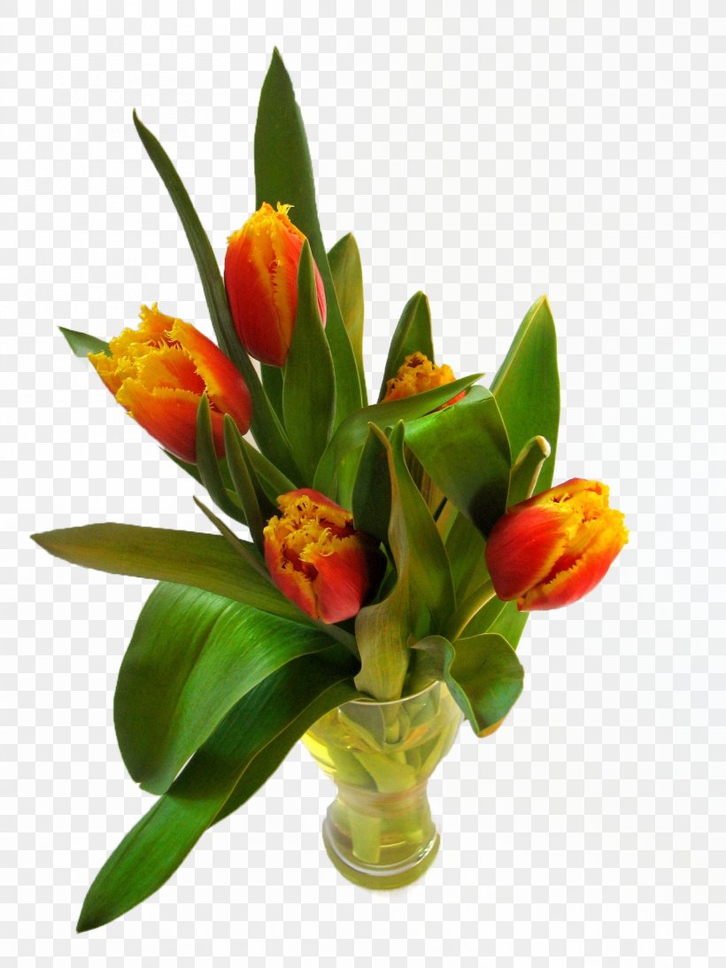 Tulip Time Festival Flowerpot, PNG, 1279x1705px, Tulip, Cut Flowers, Floral Design, Floristry, Flower Download Free