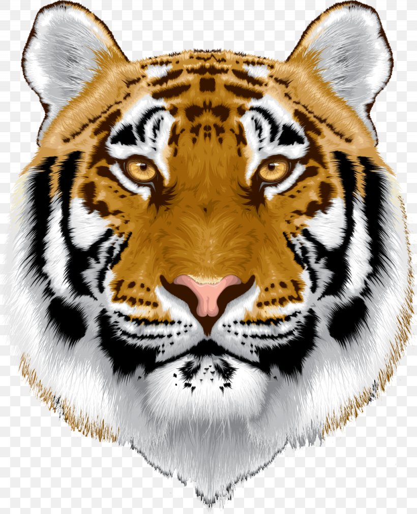 Bengal Cat Sumatran Tiger White Tiger Animal, PNG, 1025x1266px, Bengal Cat, Animal, Big Cats, Carnivoran, Cat Download Free