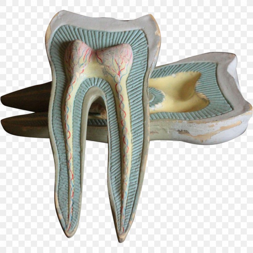 Dentistry Human Tooth Jaw, PNG, 1265x1265px, Dentist, Anatomy, Bone Resorption, Dental College, Dental Floss Download Free