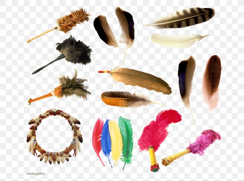 Feather, PNG, 699x607px, Feather, Digital Image, Fashion Accessory, Pen, Quill Download Free