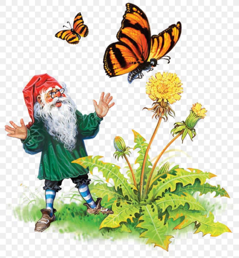 Gnome Elf Dwarf Fairy Clip Art, PNG, 800x886px, Gnome, Brush Footed Butterfly, Butterfly, Domovoi, Dwarf Download Free