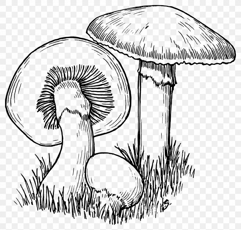 Mushroom Hunting Drawing Line Art, PNG, 2400x2293px, Mushroom, Art, Artwork, Black And White, Coloring Book Download Free
