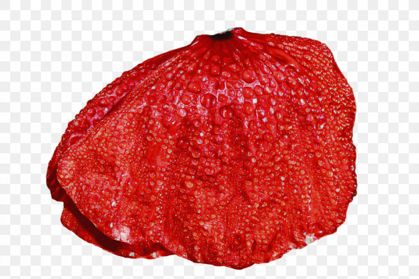 Strawberry, PNG, 1200x800px, Red Meat, Strawberry Download Free