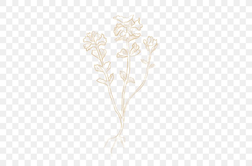 Drawing Floral Design, PNG, 540x540px, Drawing, Branch, Branching, Flora, Floral Design Download Free