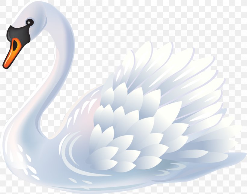 Mute Swan Bird Black Swan Clip Art, PNG, 1200x944px, Mute Swan, Anatidae, Beak, Bird, Black Swan Download Free