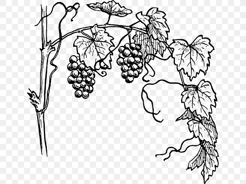 grape farmer clipart free