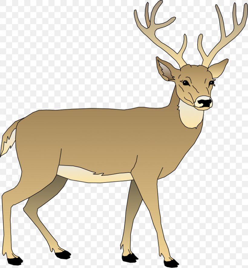 White-tailed Deer Clip Art, PNG, 830x900px, Deer, Antelope, Antler, Blog, Drawing Download Free