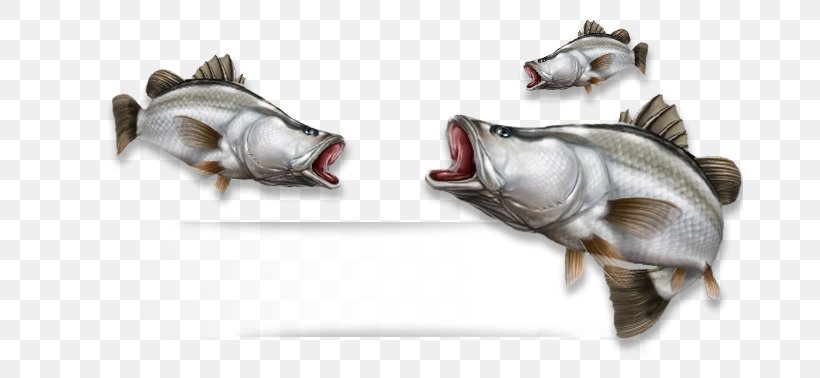Fish Dolphin Safe Label Tuna Slurry Ice Bled, PNG, 666x378px, Fish, Barramundi, Bled, Boat, Dolphin Download Free