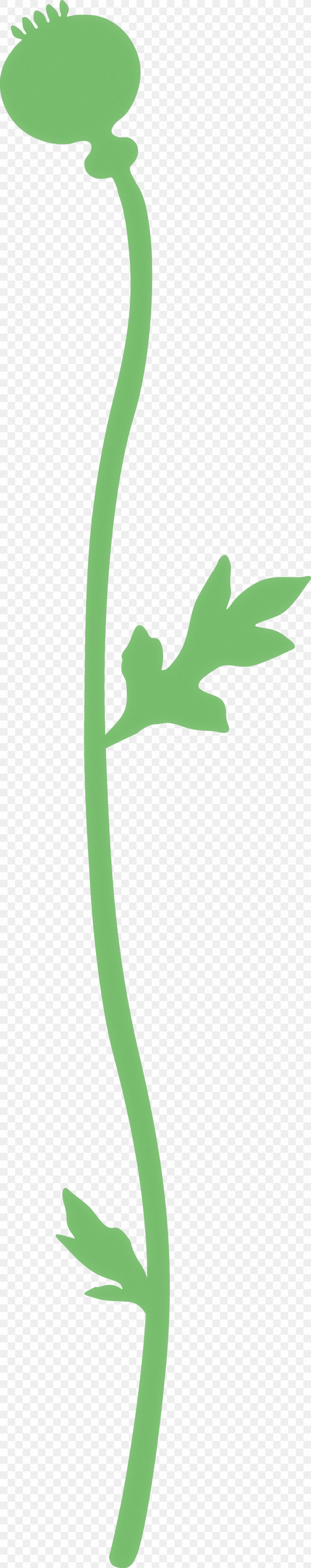 Poppy Flower, PNG, 982x4952px, Poppy Flower, Green, Leaf, Logo, Plant Download Free