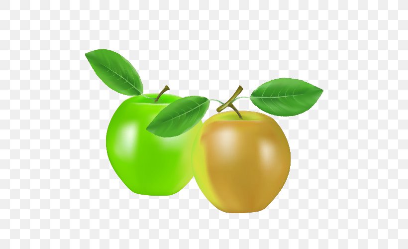 Apple Drawing, PNG, 500x500px, Apple, Animation, Cartoon, Drawing, Food Download Free