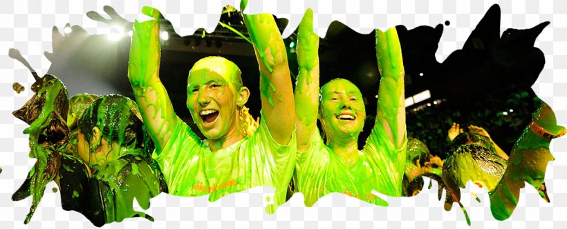 Nickelodeon Viacom International Media Networks Television Slime News, PNG, 1000x405px, Nickelodeon, Facebook, Grass, Green, News Download Free