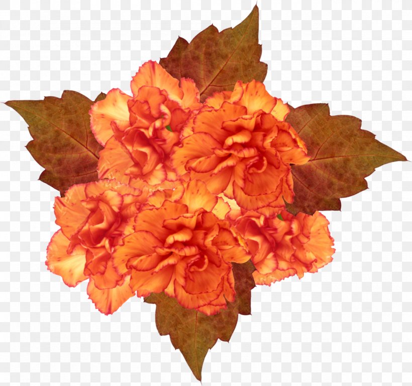 Petal Flower Clip Art, PNG, 1280x1198px, Petal, Adobe Flash, Animation, Cut Flowers, Flower Download Free