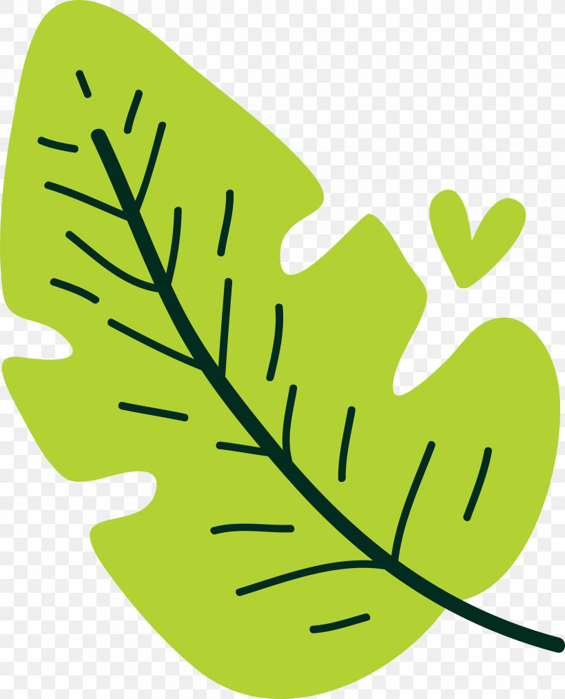 Plant Stem Leaf Green H&m Area, PNG, 2426x3000px, Leaf Cartoon, Area, Biology, Green, Hm Download Free