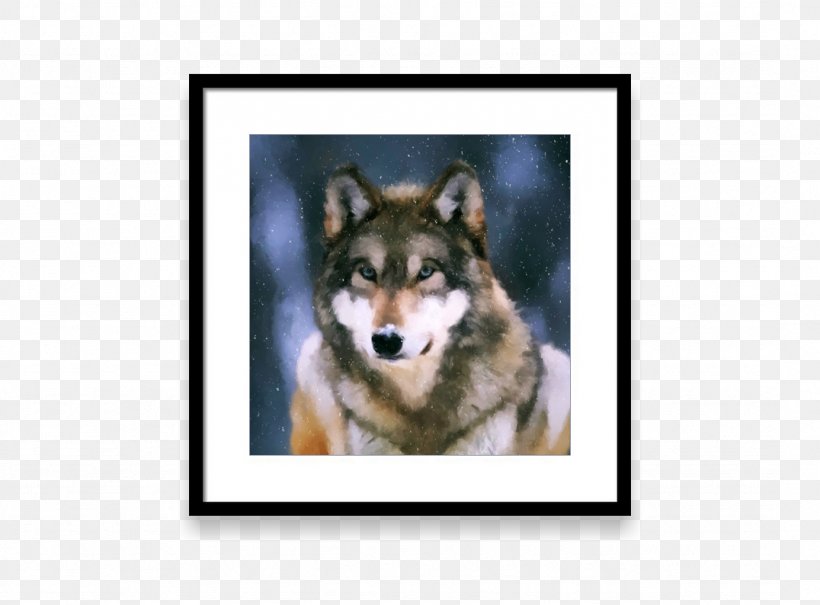Siberian Husky Shikoku Dog Breed Allegro Snout, PNG, 1076x794px, Siberian Husky, Allegro, Carnivoran, Dog, Dog Breed Download Free