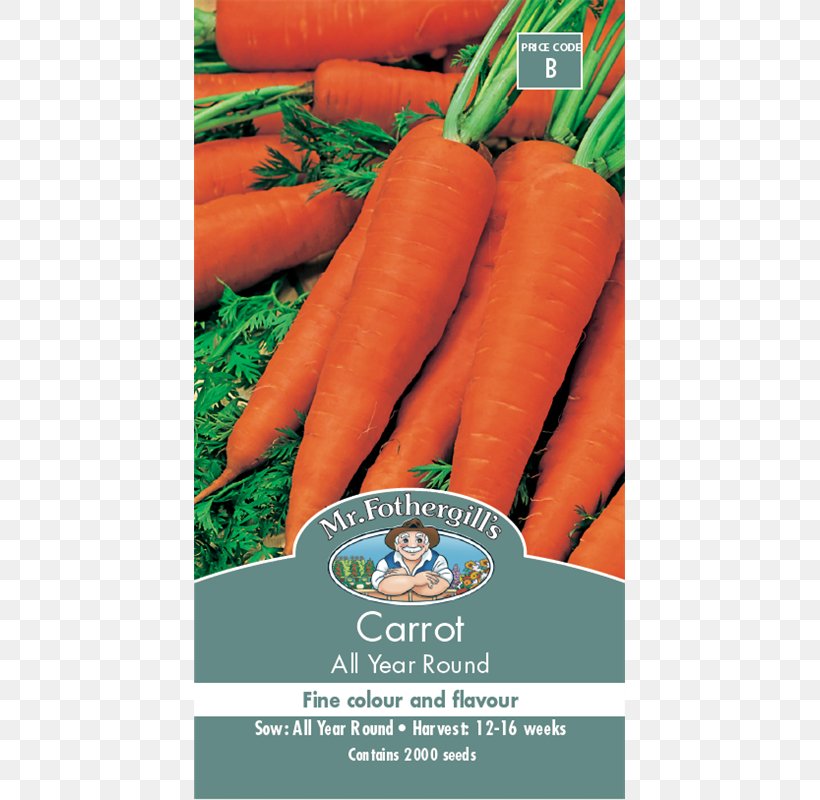 Baby Carrot Food Seed Vegetable, PNG, 800x800px, Baby Carrot, Carrot, Carrot Seed Oil, Flower, Food Download Free