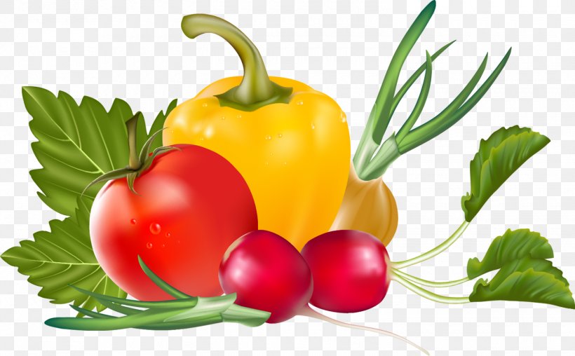 Clip Art Vegetable Fruit Vegetarian Cuisine Image, PNG, 1500x930px, Vegetable, Bell Pepper, Bell Peppers And Chili Peppers, Bush Tomato, Chili Pepper Download Free