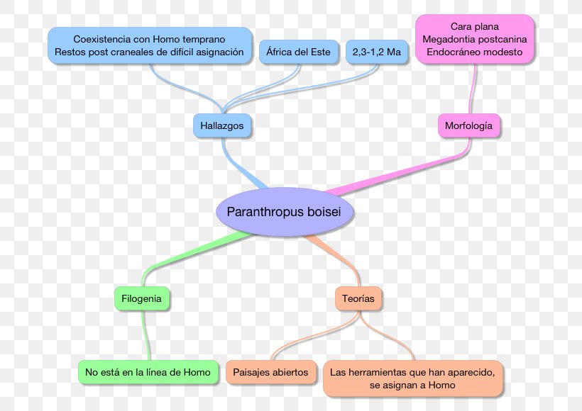 Olduvai Gorge Paranthropus Boisei Australopithecus Afarensis Paleoanthropology Olduvai Hominid 9, PNG, 726x580px, Paranthropus Boisei, Area, Australopithecus Afarensis, Diagram, Great Apes Download Free