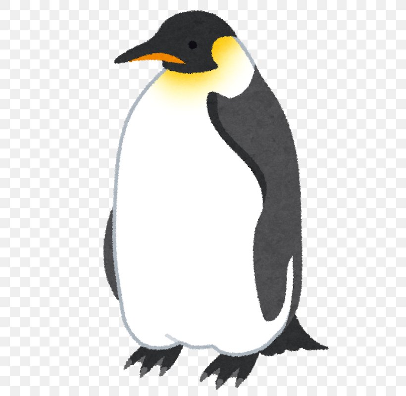 King Penguin Emperor Penguin いらすとや, PNG, 573x800px, King Penguin, Animal, Beak, Bird, Blog Download Free